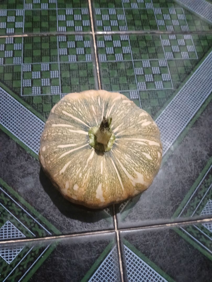 OK lắm, ghiền em này rồi hợp túi tiền hợp da...