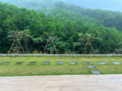 Hàng tốt
Giao nhanh
Shop tư vẫn nhiệt tiếp 
Thank shop nhé, sẽ mua ủng hộ tiếp