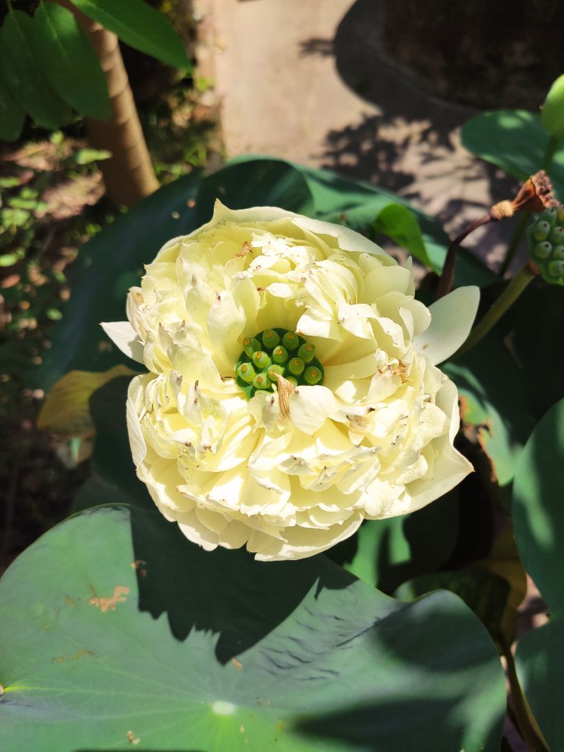 Đóng gói sản phẩm rất đẹp và chắc chắn. Rất đáng tiền. Thời gian giao hàng rất nhanh. Chất lượng sản phẩm tuyệt vời
Hình ảnh mang tính chất minh họa