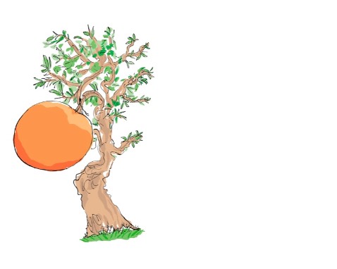 Hình vẽ dễ thương kinh khủng . Câu chuyện hóm hỉnh và nhân văn , chuyến phiêu lưu cực kì thú vị . Bạn nào thích phiêu lưu kiểu bay bổng , tưởng tượng của trẻ con thì nên mua . Mình khá là thích mấy truyện có nhân vật là côn trùng nữa chứ . Quyển này đánh 5 sao cộng luôn . Quyển cô bé Matilda dùng từ vui hơn quyển này , nhưng mình thích phần kết , cách xử lí tình huống của quyển này hơn , mình đánh giá cao .