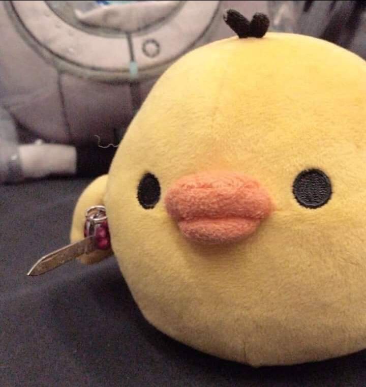 xịn xò lắm nha mn.... nên mua ... đáng giá tiền... hihi