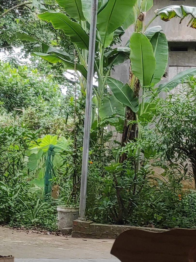 ok. sẻ ủng hộ thêm