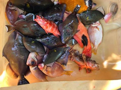 Chất lượng sản phẩm ok shop nhiệt tình