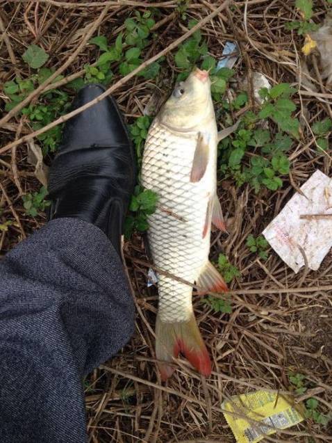 hàng chất lượng tốt phù hợp với giá tiền