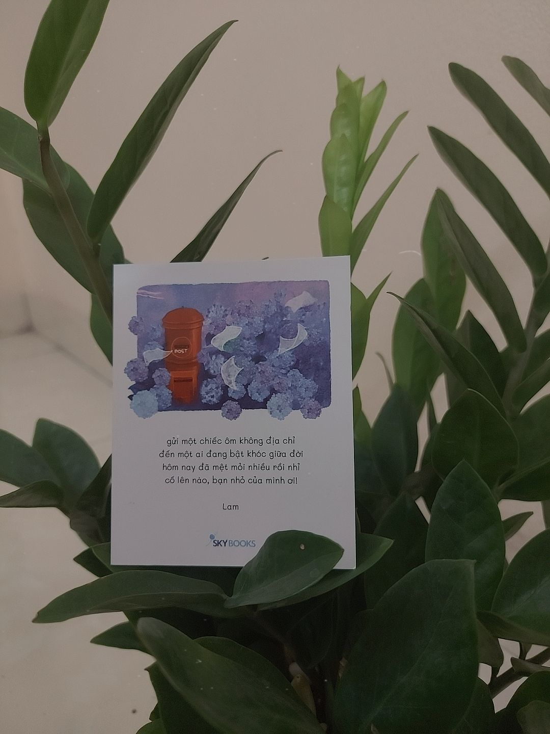 Sách ra mắt là phải mua ngay vì đọc thấy nó quá dịu dàng và ấm áp. 
Lần này hơi thất vọng chút là ko có bookcare nên sách dễ bị nát, nhưng bù lại tiki giao hàng rất nhanh