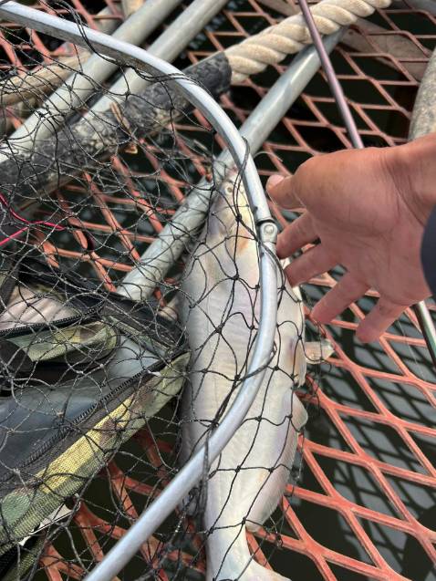 Shop giao hàng siêu nhanhhhhh 👍🏽 chưa đến 2 ngày là có hàng rồi