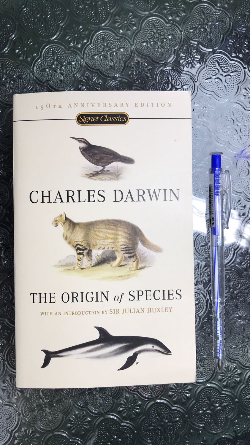 Bề mặt bìa sau của sách hơi bẩn nhưng nhìn chung sách rất đẹp