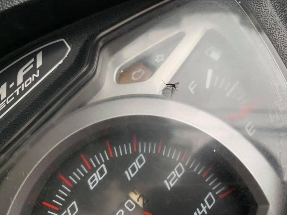 Shop *** đảo, cố tình đăng giá loại rẻ tiền đăng 9 xương cố tình giao 4 xương rẻ hơn rất nhiều còn thác thức đe doạ khách