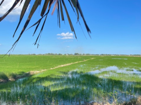 Không biết nhận xét gì làm đủ thủ tục thui