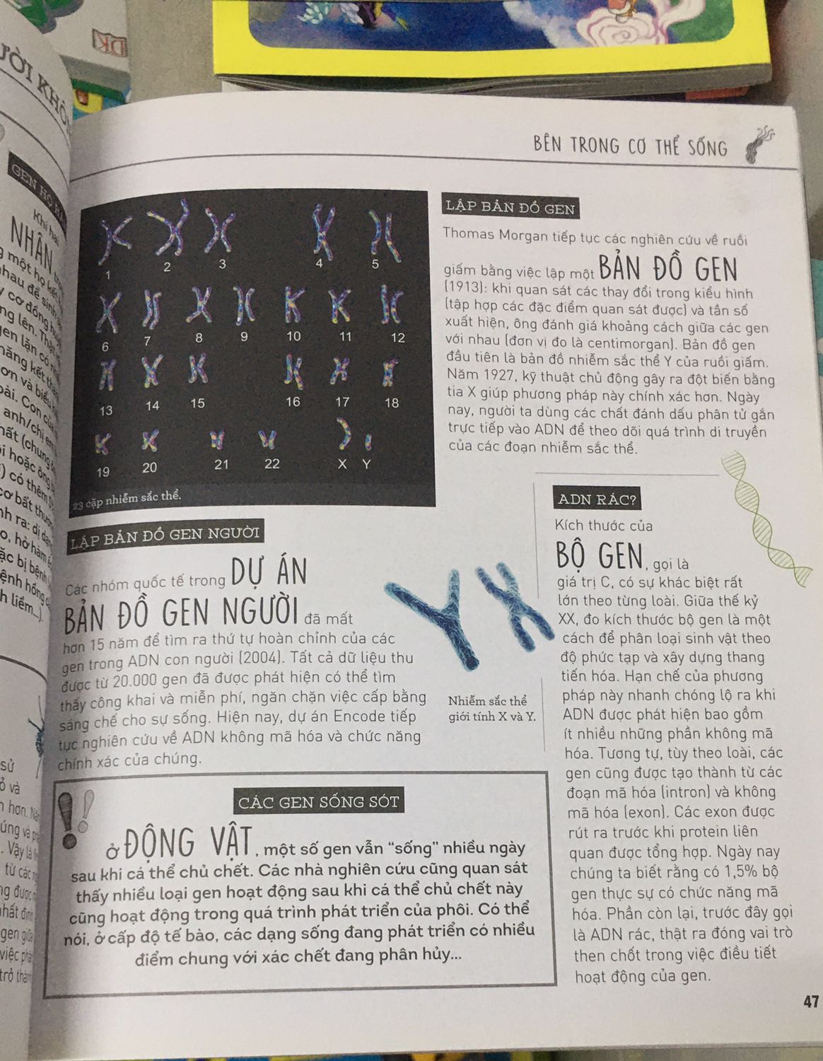 Cuốn sách cần thiết cho cả người lớn và trẻ em