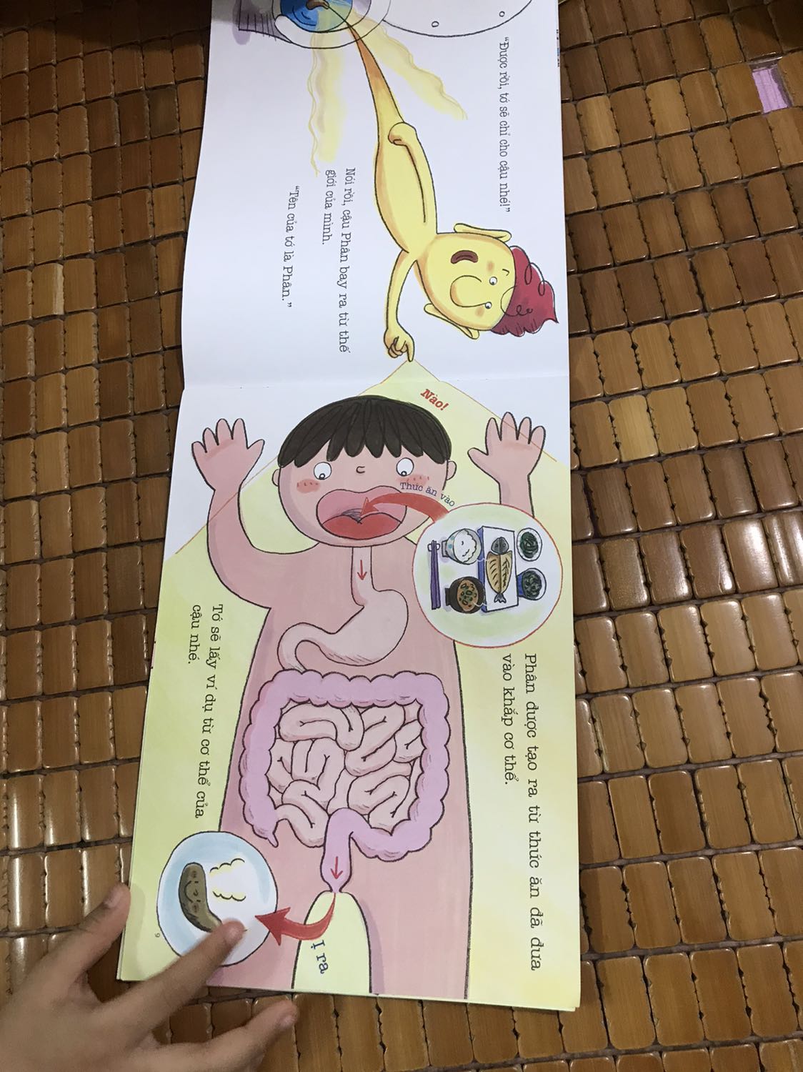 Câu truyện rata hay, ý nghĩa và lại còn hấp dẫn trẻ con Câu truyện rata hay, ý nghĩa và lại còn hấp dẫn trẻ con