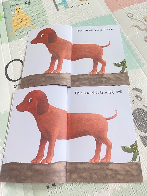 Bộ sách có 5 quyển thì 2 quyển bìa khác nhau nhưng nội dung tranh vẽ lại y hệt. Nt cho shop để yêu cầu đổi thì ko trả lời.