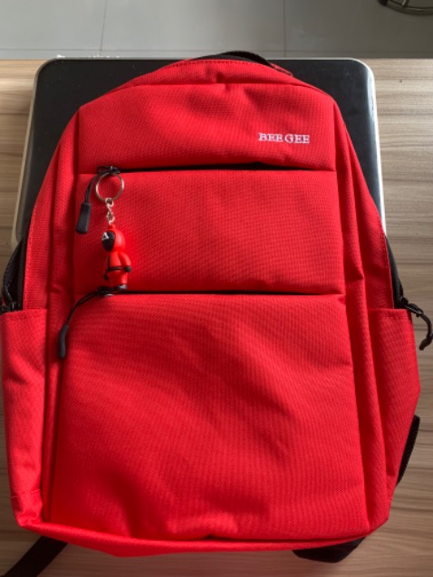 Hình là màu đỏ đô nhưng sản phẩm thực tế màu đỏ tươi, nhạt hơn hình. Vải và form cũng không được đứng như trong hình. Dùng thì tạm chấp nhận được. Giá tiền hơi cao so với chất lượng.