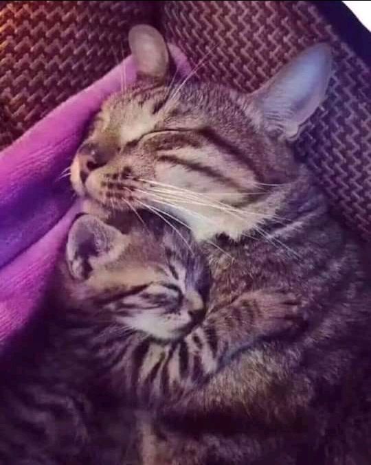 sách khá ổn. nhưng có một số câu giải rút gọn quá gây khó hiểu