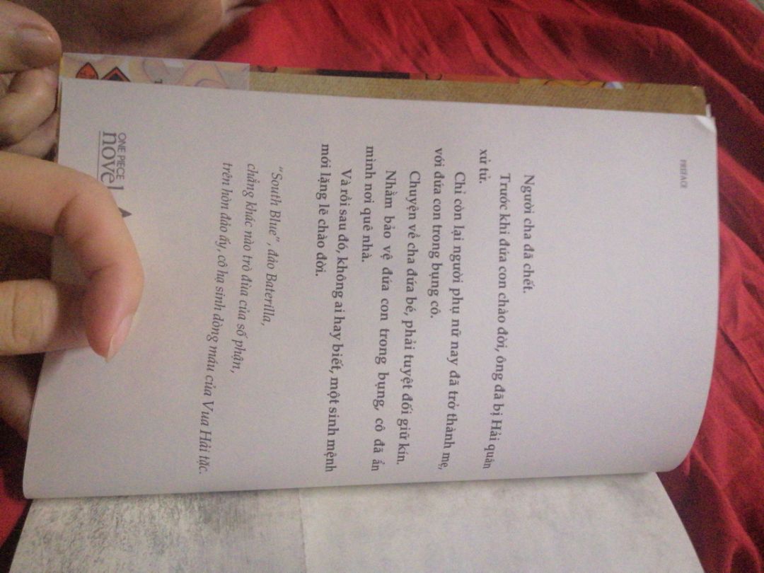 vì là fan One Piece nên mình quyết định rước về chung với bst của mình và cũng vì đây là câu chuyện của Ace, một nhân vật mình rất thương ❤