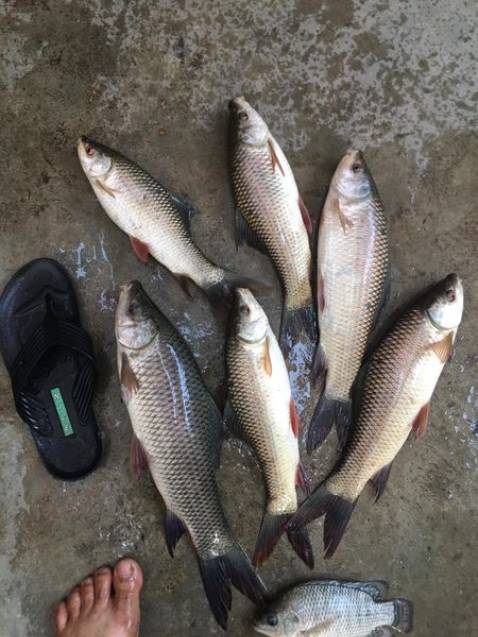 ghế ok, giao nhanhhhhhhhhhhhhhhhhhhhhhhhhhhhhhhhhhhhh