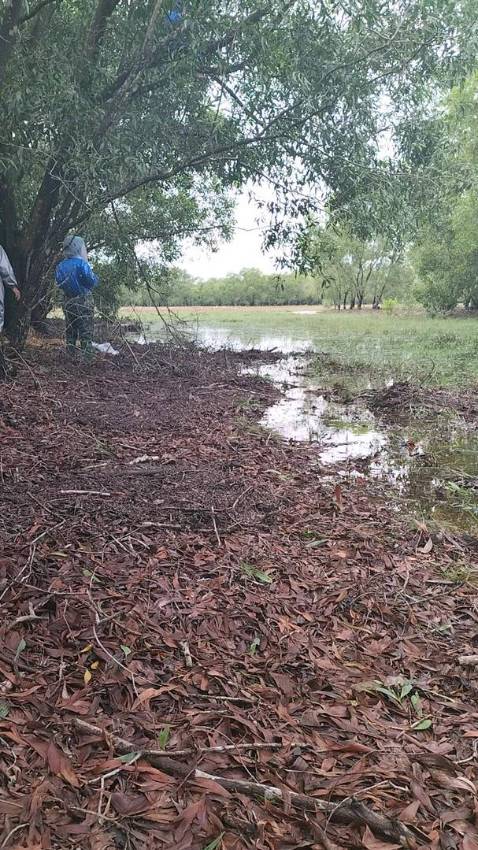 Giao hàng phải nói là siêu siêu nhanh luôn hàng chất lượng ok 👌