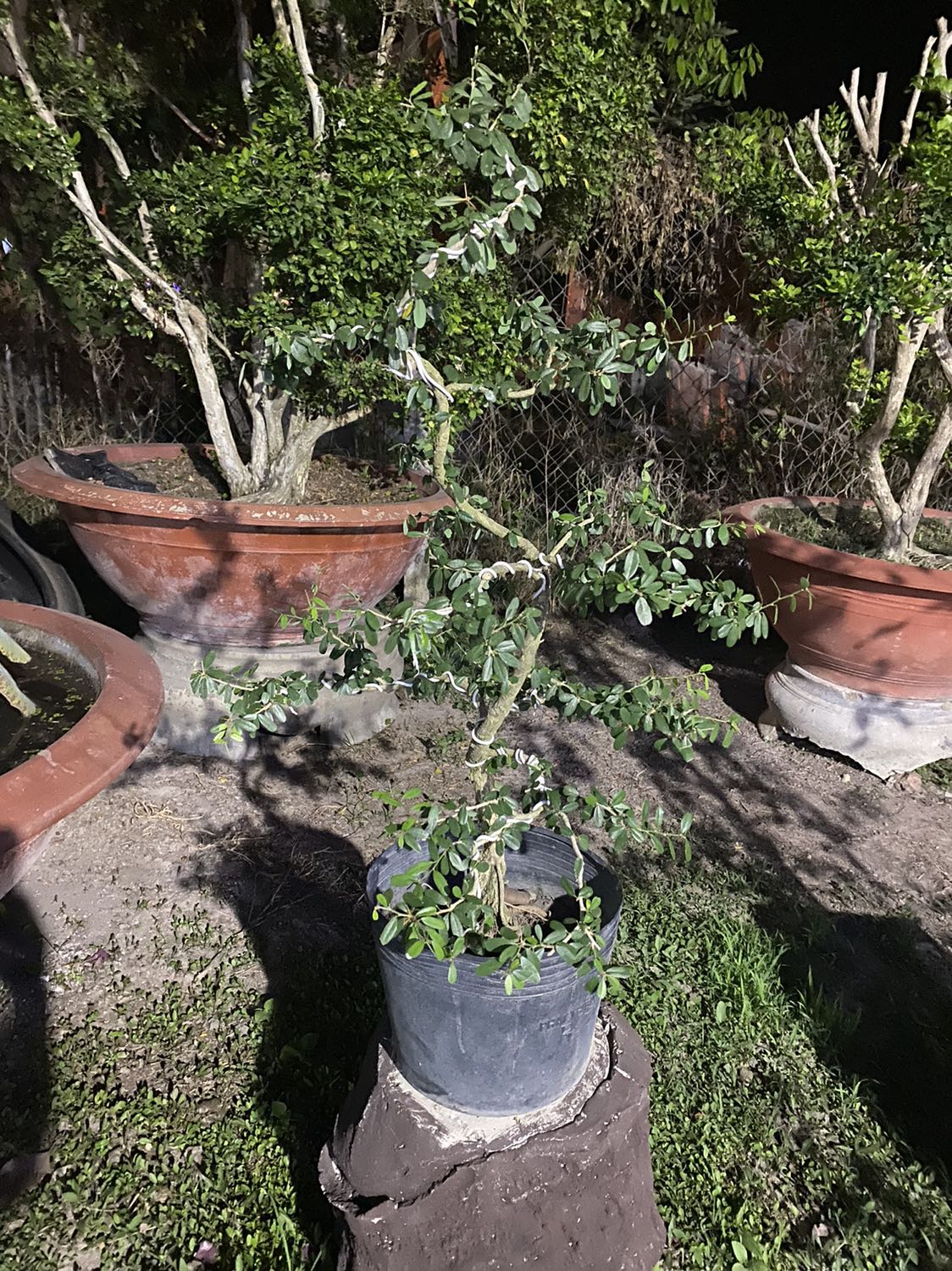 Sách hay, nhiều bài học áp dụng thực tế liền, nuôi dưỡng tâm hồn người mẹ người cha để dạy con tốt hơn, tâm lý hơn