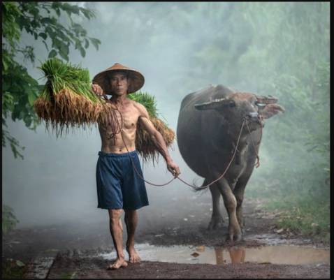 Sản phẩm tốt, giao hàng nhanh