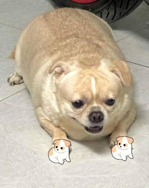 Sp tốt, mềm mại, dễ bóc, phù hợp với da nhạy cảm Sp tốt, mềm mại, dễ bóc, phù hợp với da nhạy cảm