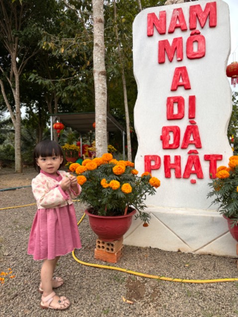 Sản phẩm chất lượng cho shop 5 sao !!!