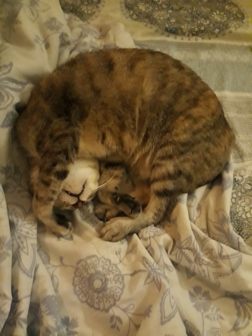 Hsd tới cuối năm sau, trc mua giá bình thuờng là 350k, giờ mua khuyến mãi giảm 50k mới đc như giá cũ.