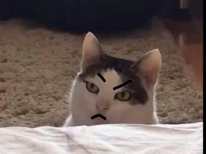 Bình thường, giao lâu, đóng gói sơ sài, chất lượng k dc như loại 80 hãng giấy khác