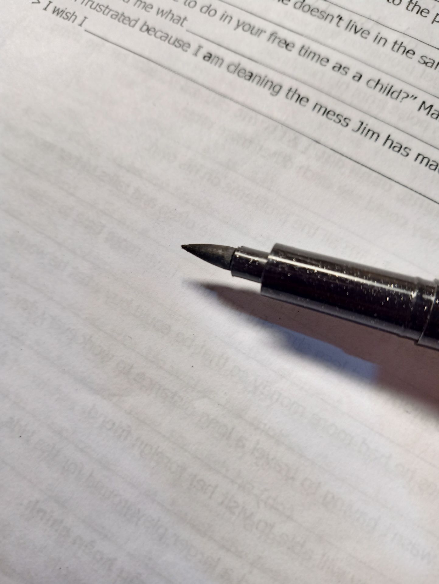 lúc đầu mình còn nghĩ đó là ngòi lông chứ. nhưng thật ra nó là ngòi kiểu như miếng mút ấy, viết được vài chữ thì cái ngòi lởm chởm ra khó chịu lắm. nhưng không sao, với giá vầy thì mình thấy okkkk