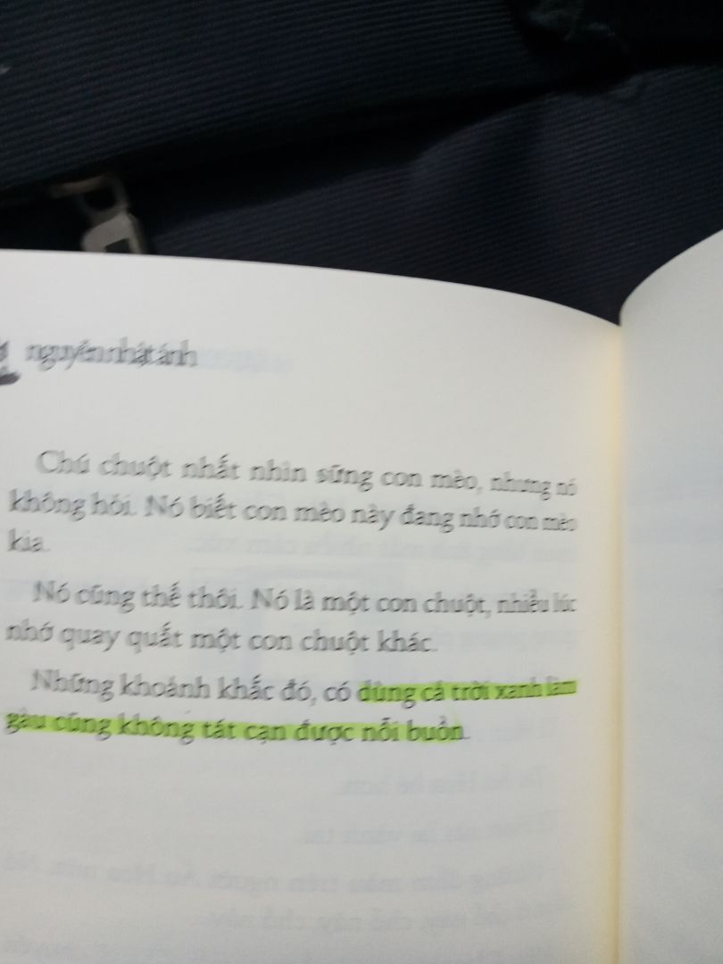 sách có nội dung nhẹ nhàng,kể về tình yêu của mèo Gấu lúc nào cũng nghĩ về nàng mèo Áo Hoa.bên cạnh đó cx kể về tình yêu của chuột Tí Hon với chuột Út Hoa.. sách cũng có những câu nói khá tâm đắc..