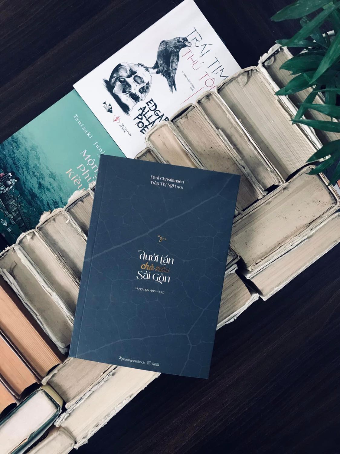 Nội dung hay, của một người nước ngoài trẻ viết về Sài Gòn qua bản dịch của nhà văn Trần Thị Ng.