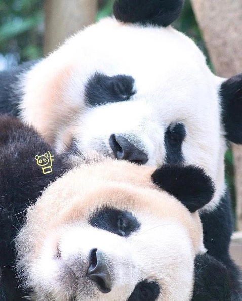 Sách hay, giấy êm tay lắm luôn