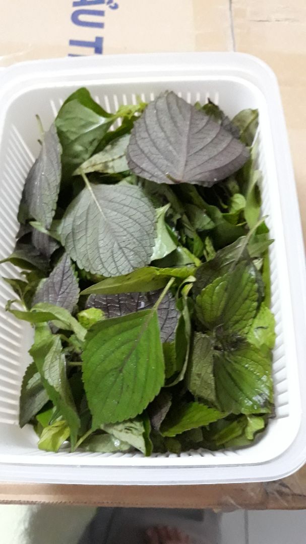 Hộp cứng cáp , nắp đậy khít , để rau tươi  lâu cả tuần, có thể đặt chồng lên nhau  nên k vhoang chổ tủ lạnh