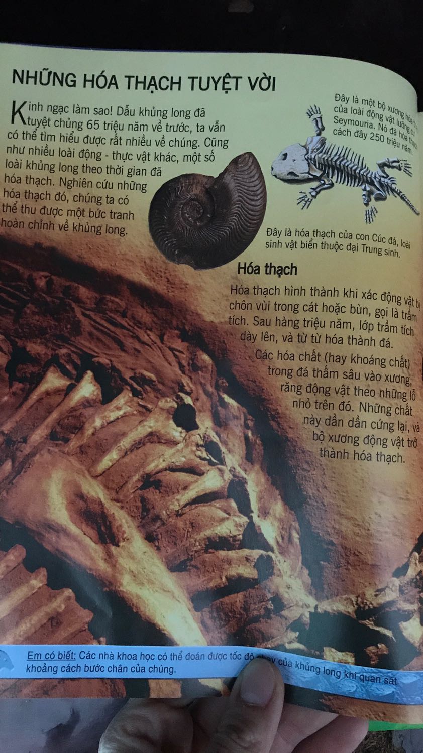 Sách rất bổ ích, mình đọc cũng thấy thích thú, hình ảnh rõ ràng, lời văn ngắn gọn dễ hiểu