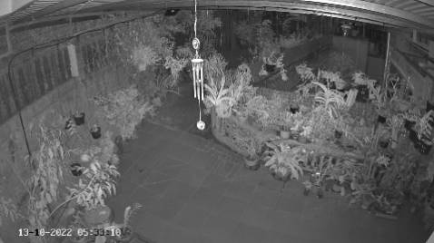 Đây là hình ảnh chụp từ camera C3N ezviz hình có màu vào ban đêm khi bật đèn, còn không bật chế độ xuyên đêm thì để chế độ thông mình, khi có chuyển động của người thì đèn tự bật sáng vào quay video màu luôn