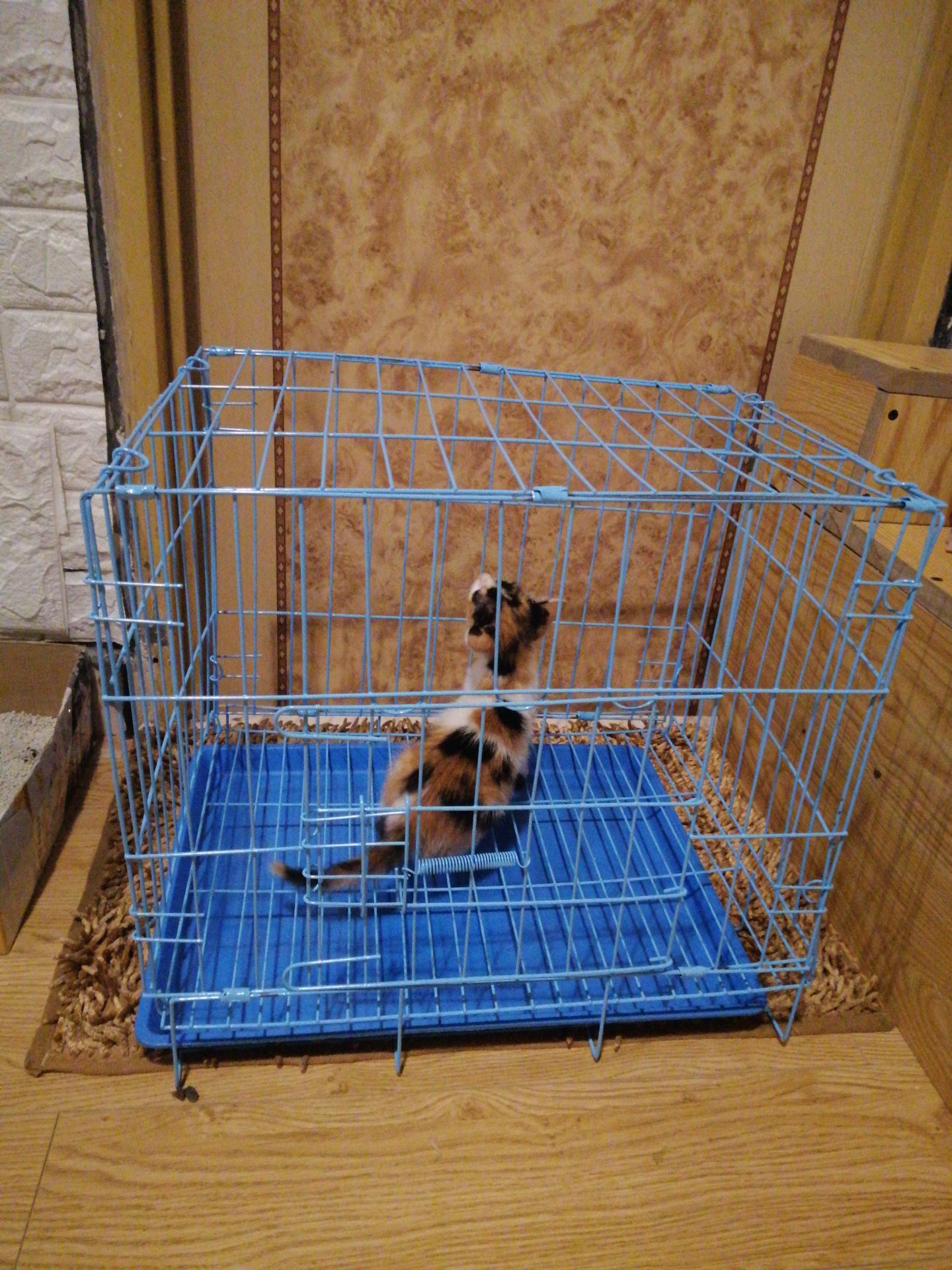 Không giống ảnh mô tả ,nang khá rộng , kh có đồ xách . Khay hứng ở dưới kh có gì cố định lại, bị cong yếu không khớp . Thất vọng Không giống ảnh mô tả ,nang khá rộng , kh có đồ xách . Khay hứng ở dưới kh có gì cố định lại, bị cong yếu không khớp . Thất vọng