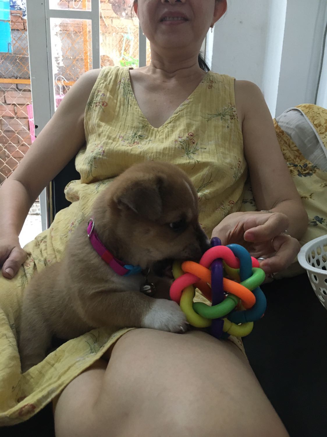 Banh rất đẹp mà chuông nghe hơi nhỏ phải bỏ hạt vào mới nghe, tiếc là  Bé nhà mình không thích chơi banh lắm, thích thú bông hơn chỉ khi nào mình chơi chung bé mới chơi thôi :)))