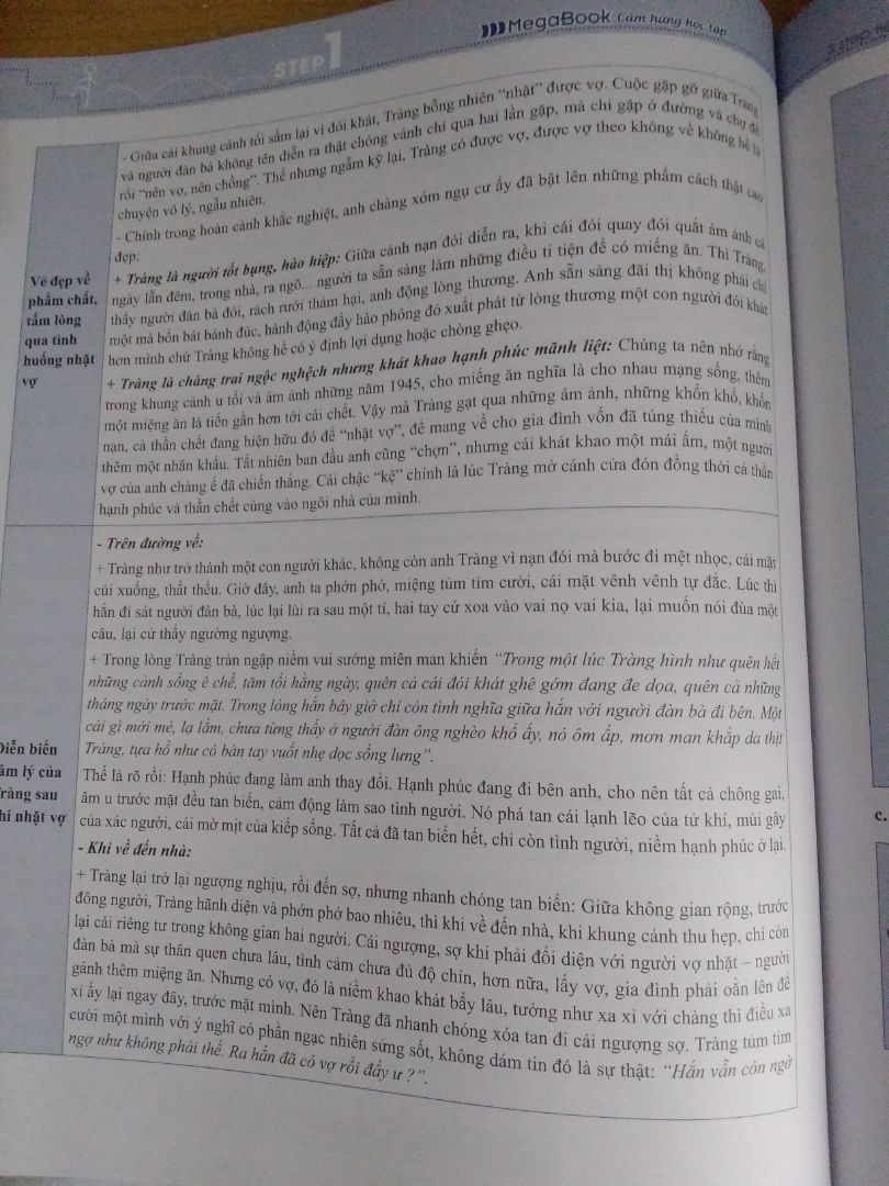 Sách dày, to, đẹp, nội dung hay, ngắn gọn nhưng đầy đủ, có sơ đồ tư duy để các bạn dễ học, nội dung tập trung vào trọng tâm. Bạn nào có mục tiêu điểm cao văn ở trên lớp hoặc thi thptqg nều nên mua quyển này