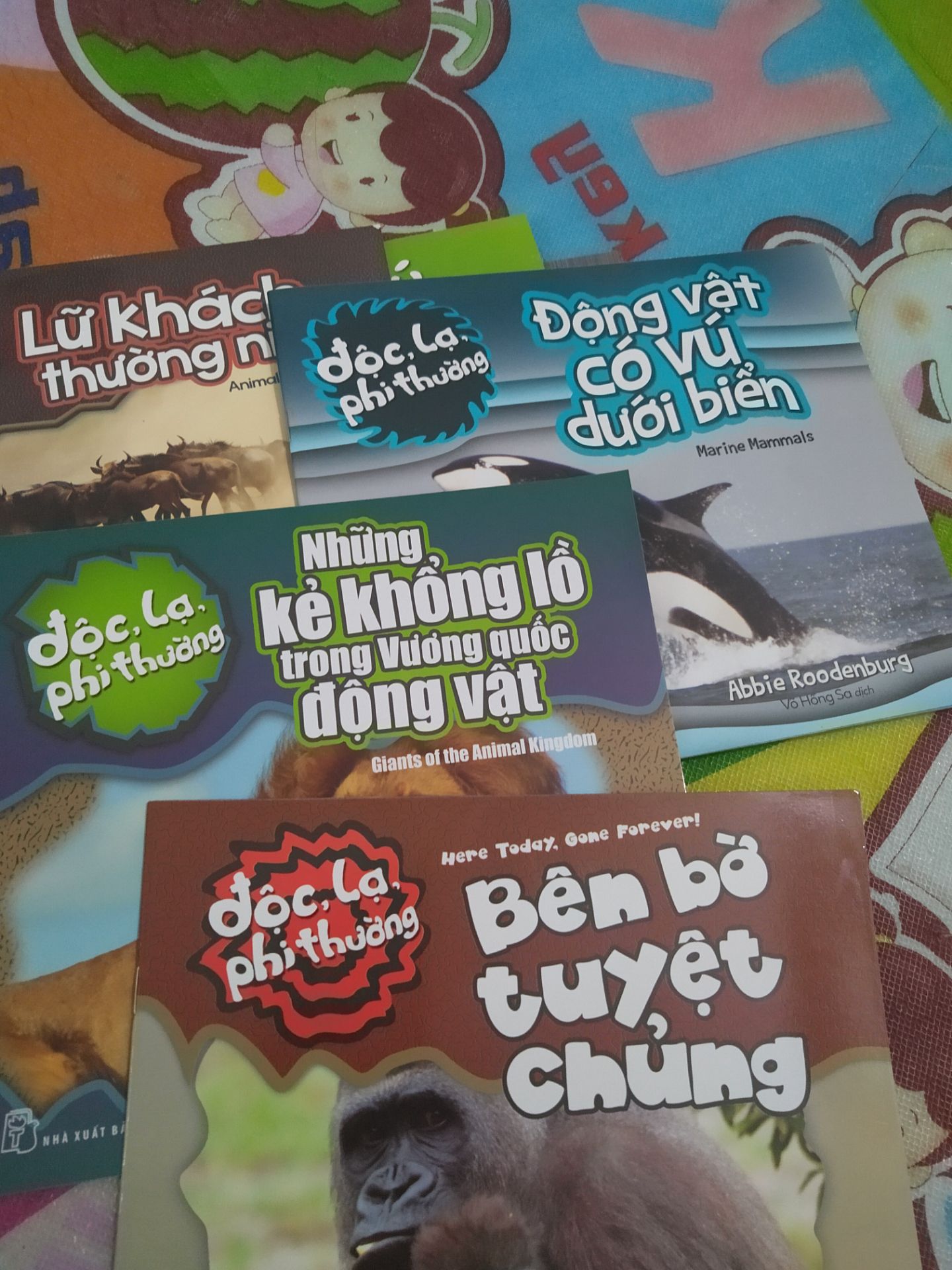 bé nhà mình thích lắm. suốt ngày bắt mẹ cho xem. mình mua cả combo luôn. tha hồ xem nhé. tiki giao hàng nhanh, đóng gói cẩn thận.