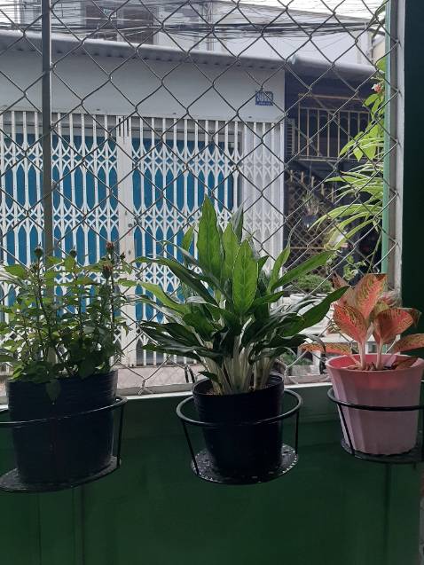 Sản phẩm đúng theo giới thiệu. Giá hợp lý, đẹp.