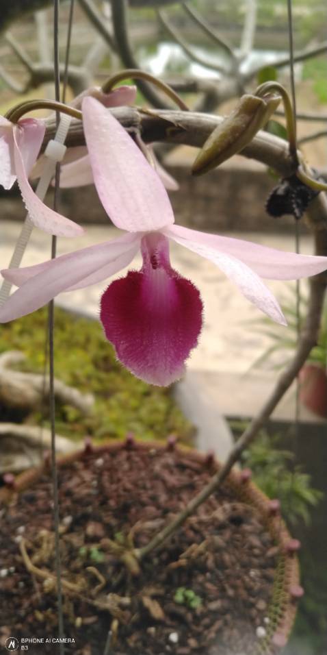 Giao đúng ngày, còn về chất lượng phải chờ thời gian