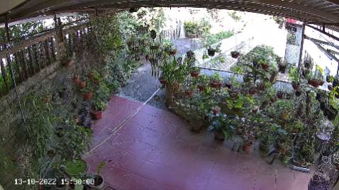 Đây là hình ảnh chụp từ camera C3N ezviz hình có màu vào ban đêm khi bật đèn, còn không bật chế độ xuyên đêm thì để chế độ thông mình, khi có chuyển động của người thì đèn tự bật sáng vào quay video màu luôn