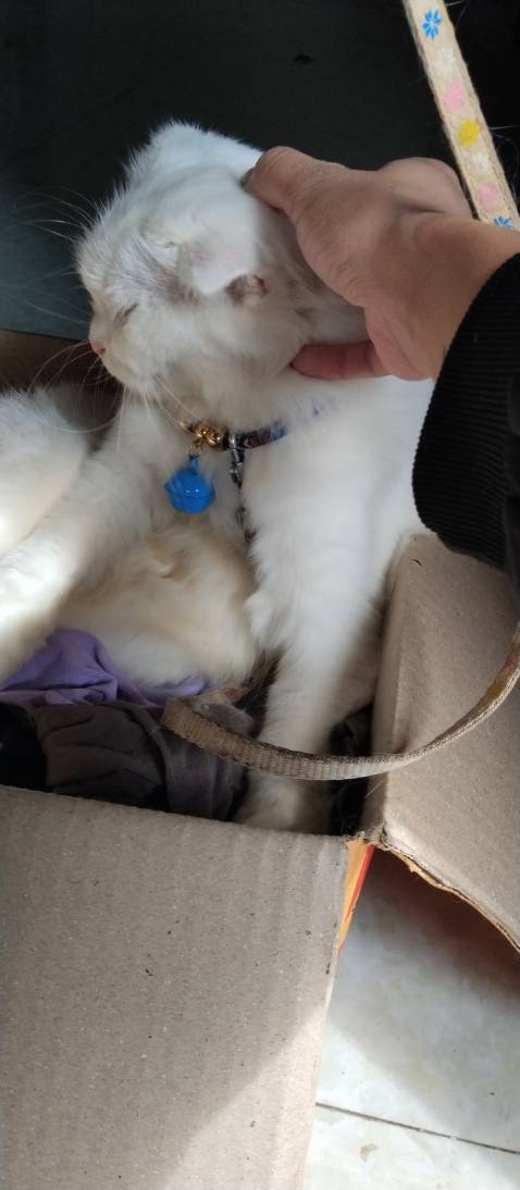 Tôi rất hàu lòng sản phẩm bên bạn