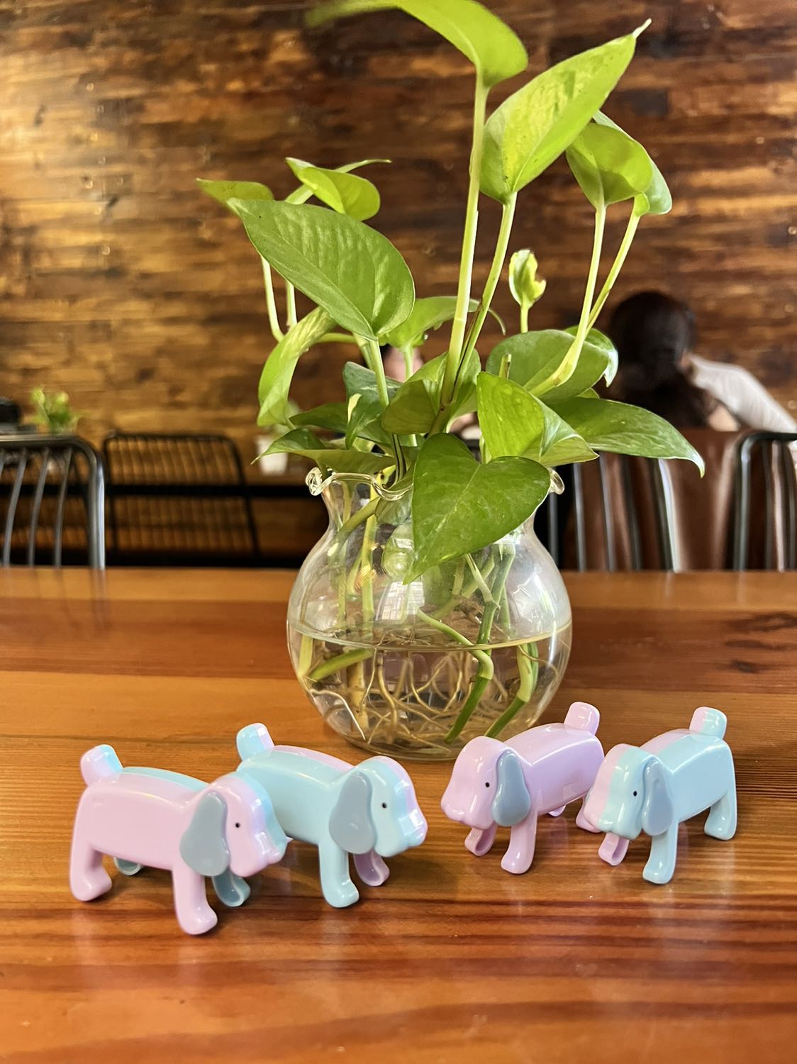 dày, đẹp dày, đẹp