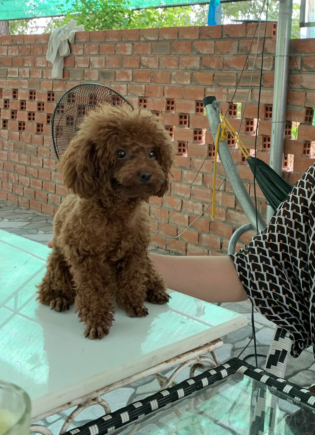 ngon shshusuaahahajauauajjahahauauauauahahahauuausjsisjsjsisisisususjsuusushsgfsgsggsgsgshshhshsjsjjsjssjsjhshsjsjsjjsjsjsjsjsjjsjsjsjjsjshahjahahajajjajqjajajjakajajajjakaksksjnsjsjsjsjsjajjsjajajhahahahahhahhahahahahahahhahahahahhahahahahahahhahahahhahahahahhahahahahahahhahahajjahahahahhahajahajahajahahahuahahshhshsusuisishhshsgsgsgdggdhdydvgdhdhhdhshshhsgvsbhshauauysuauususuusisiisiaihzhsjsjjshshshhshsjsjjsjsjajajkakakakkakakakakkakakajskkskskskakakkakakakkakakakakakkak