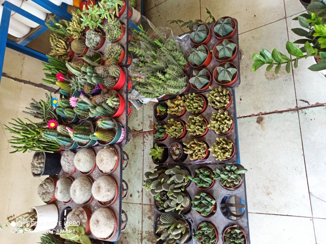 Shop đóng gói cẩn thận,giao hàng nhanh,lắp ghép 1 lát là ok rồi. Độ bền thì cần thời gian để đánh giá.Thanks shop!