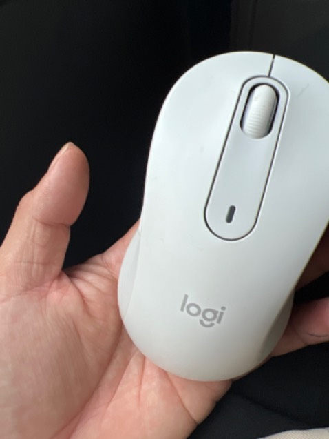 Chuột đẹp bền,