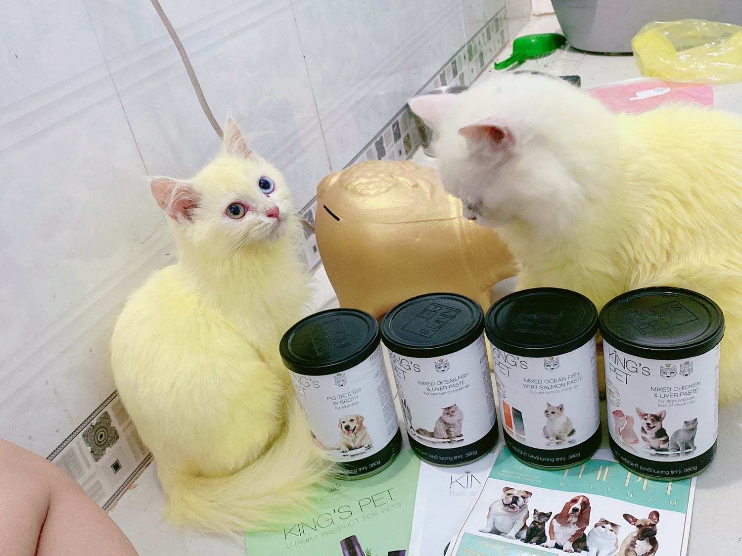 mới đặt tối qua trưa nay đã nhận đc hàng dù mình ở tận BẠC LIÊU. cả mèo lẫn cún nhà mình đều thích ❤️ sẽ ủng hộ shop thêm nữa