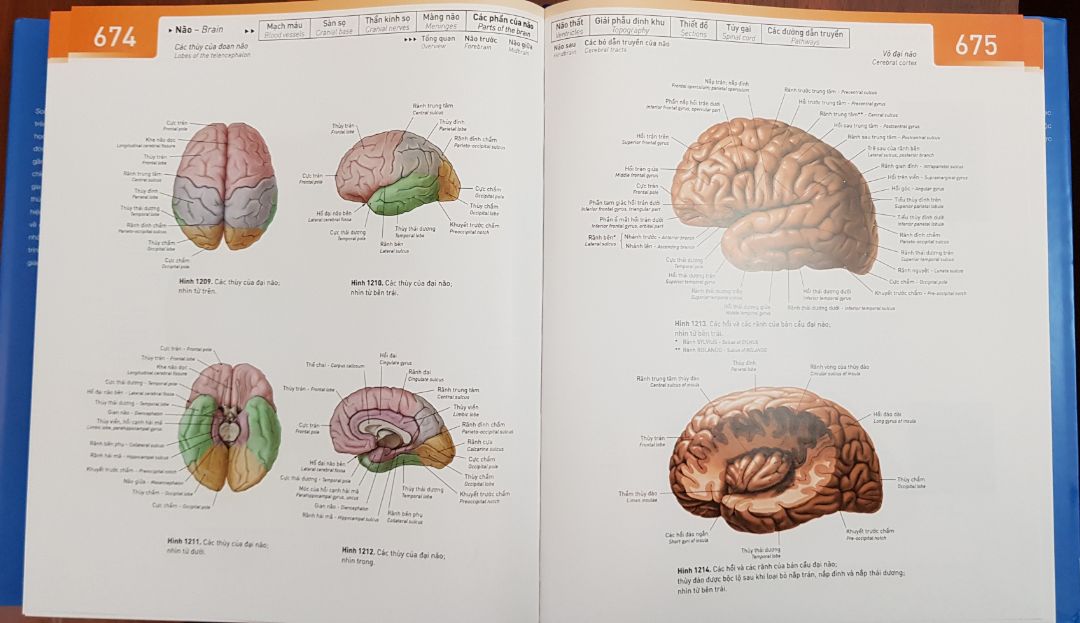 Sách đóng gói cẩn thận, không tì vết! Giấy đẹp, thơm, màu in đẹp.
Nội dung thì không có gì phải bàn lun, hình minh họa đẹp, chi tiết, và song ngữ nữa, tiện tra cứu.