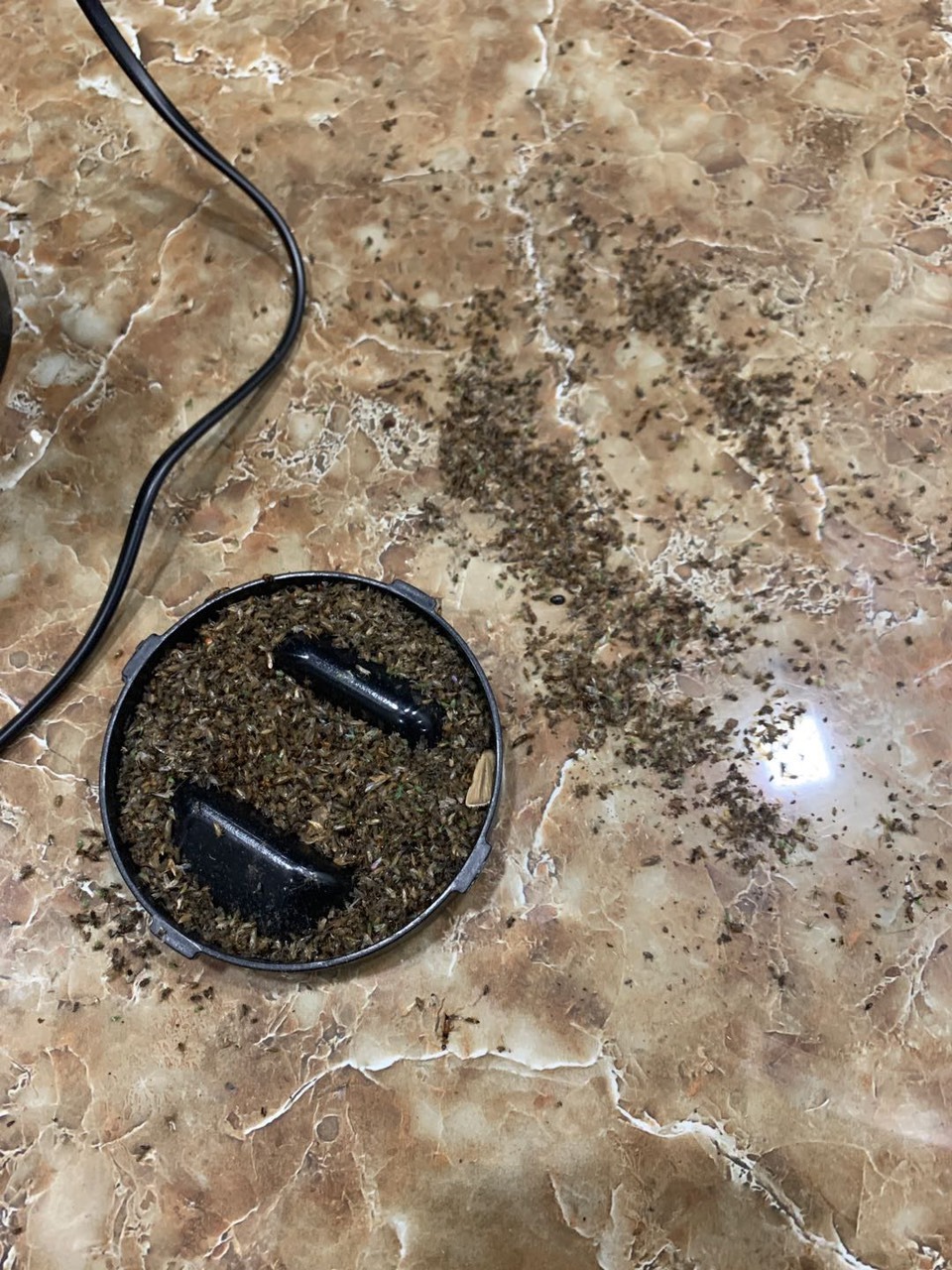 Khủng khiếp chưa anh em ? 
Nhà gần hồ nên cứ mưa xong ko khác gì chiến tranh luôn
Đóng kín cửa cho đèn ra ngoài và tắt hết điện. Sau 2h tháo ra và phát hốt. Mua thêm cái nữa mang về cho bố mẹ dùng. 
Nhà nào nhiều nên dùng 2 cái 1 lúc công suất mới cao được. qua ngaỳ hôm sau thì đở hẳng, nhà sạch sẽ hơn.