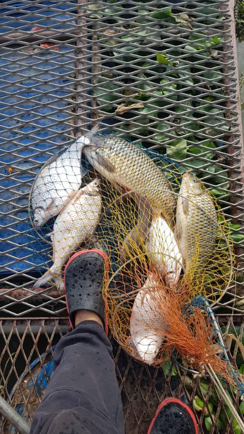 chất lượng sản phẩm cũng ok mỗi tội hơi nặng một xíu mong nhẹ hơn